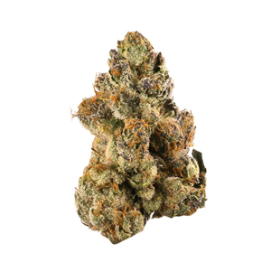 BONG GURU ROCKSTAR 14g