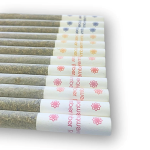 NOVEMBER RAIN BLASTERS MULTI-PACK PRE-ROLLS 12 x 0.5g