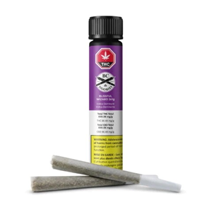 BLISSFUL WIZARD PRE-ROLLS 2 x 1g