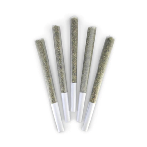 OG1 KENOBI PRE-ROLLS 5 x 0.5g