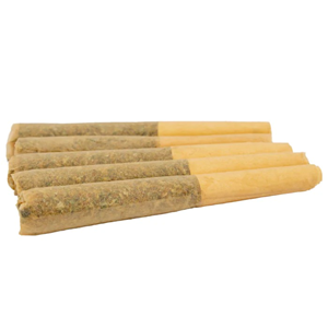 CHARLOTTE'S GLUE PRE-ROLLS 5 x 0.5g