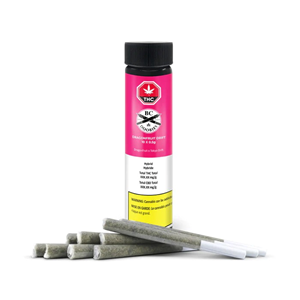 DRAGONFRUIT DRIFT PRE-ROLLS 10 x 0.5g